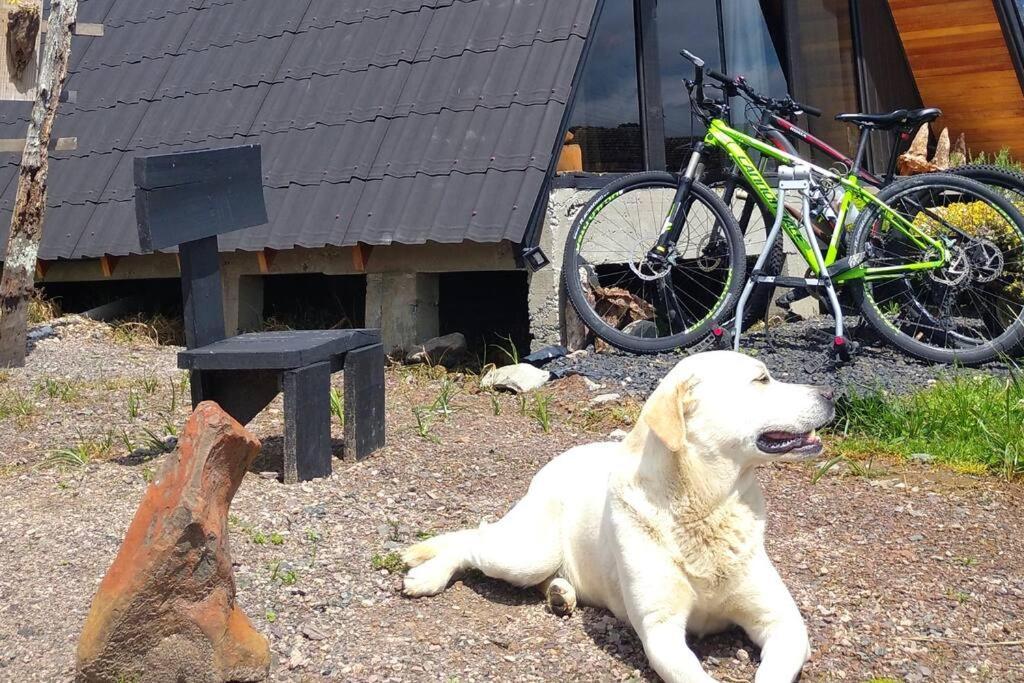 Pe Na Picada, Chale Em Urubici. Estilo E Conforto Em Uma Das Cidades Mais Frias Do Brasil! Exterior photo